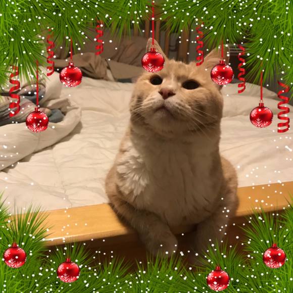 Meet your Posher, Sarah - Picture 1 of 1